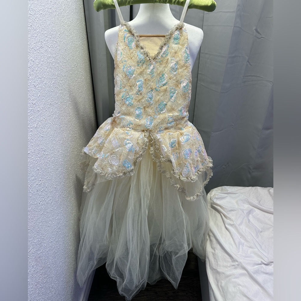 Sequined Ballet Costume Size Adult Large